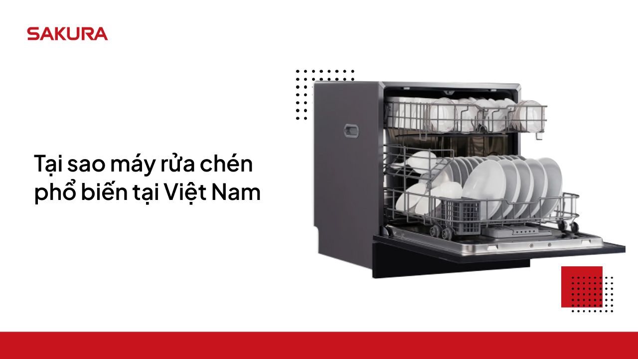 tai-sao-may-rua-chen-bat-lai-pho-bien-tai-viet-nam