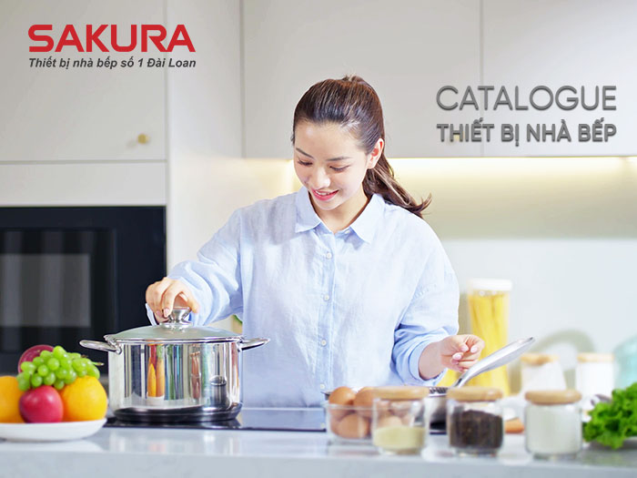 Hinh Dai Dien Catalogue 2025