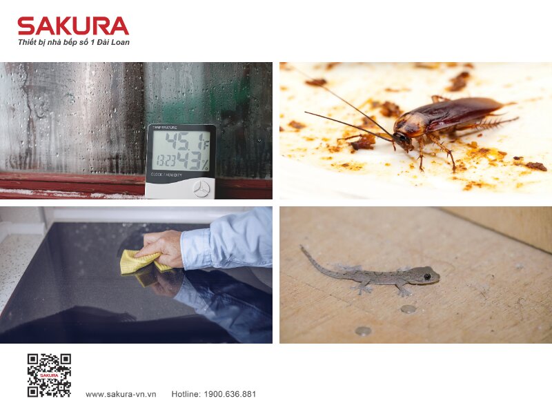 Cach Dien Bo Mach Bep Phu Hop Moi Truong Viet Nam