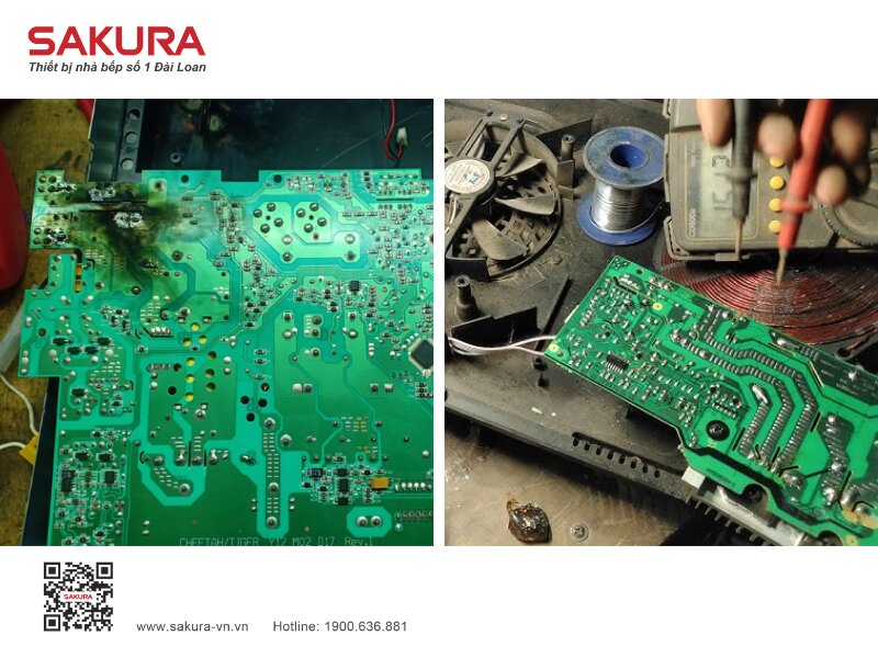 Moi Truong Am Moc Anh Huong Bo Mach